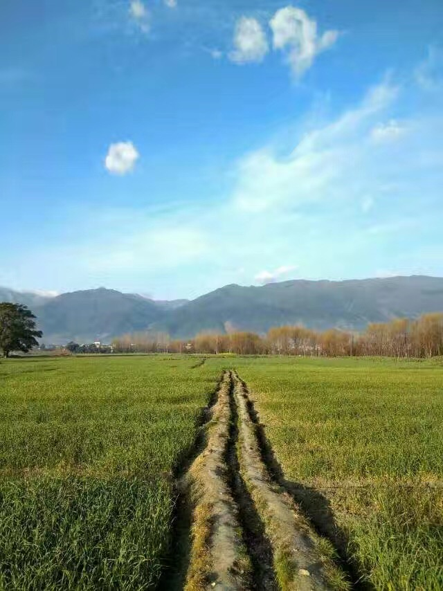 無標(biāo)題.png